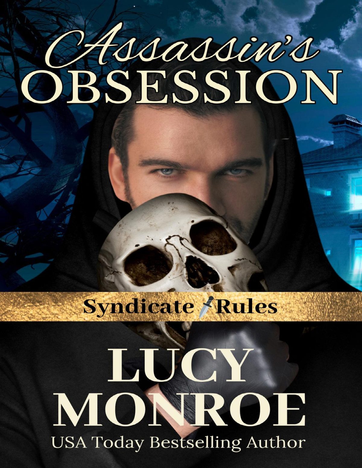 Assassins Obsession Spicy Forced Proximity Italian Mafia Romance Syndicate Rules Book 7 Lucy Monroe