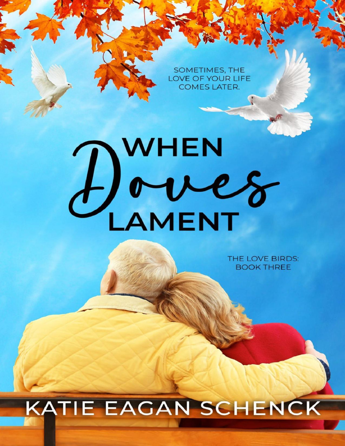 When Doves Lament Katie Eagan Schenck