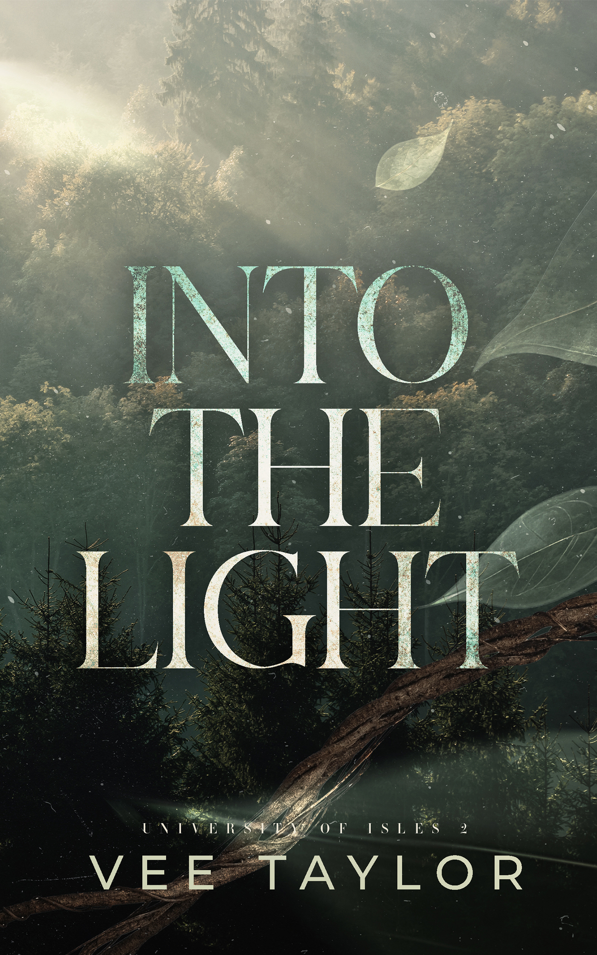 Into The Light University Of Isles Book 2 Vee Taylor
