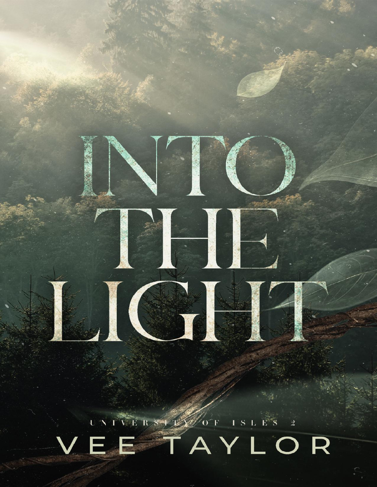 Into The Light University Of Isles Book 2 Vee Taylor