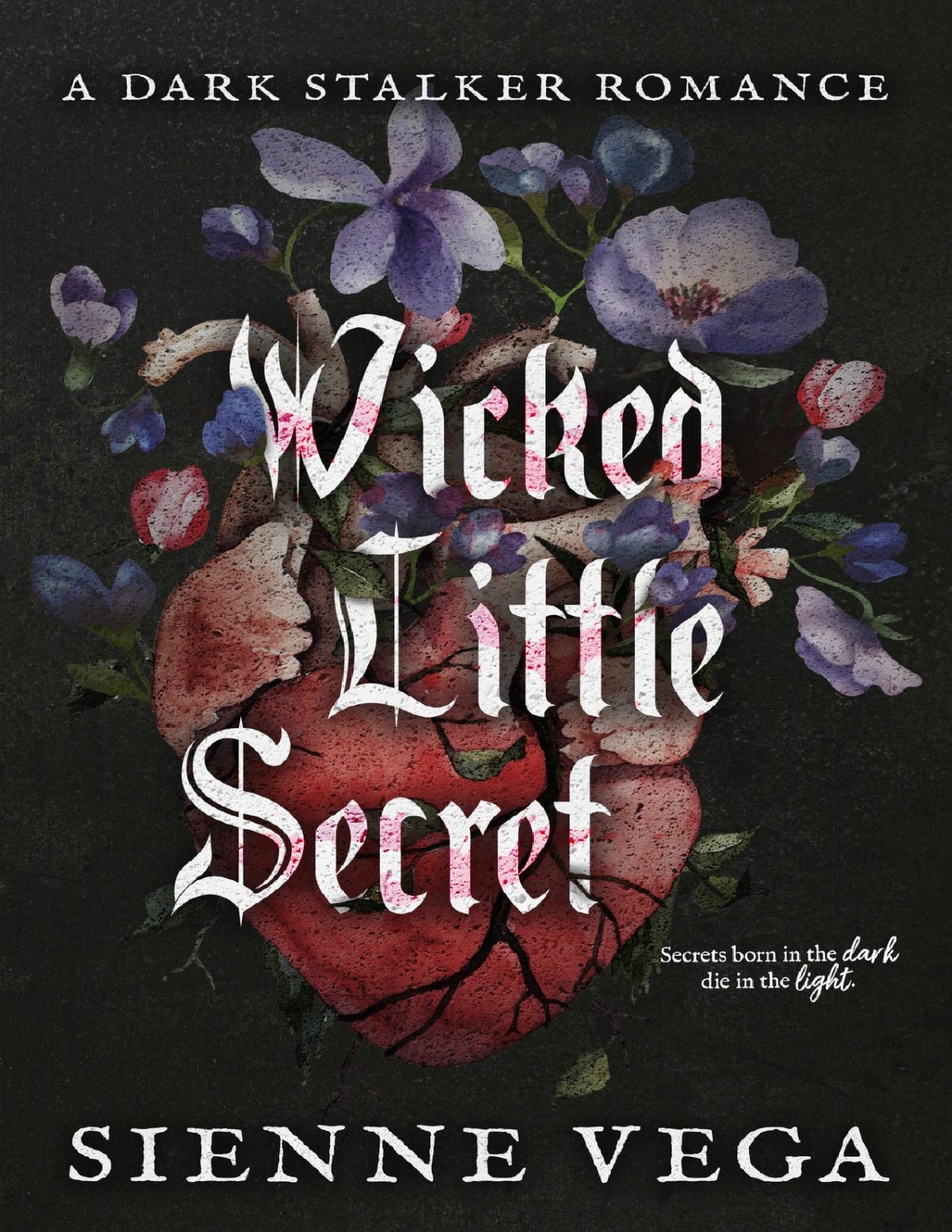 Wicked Little Secret A Twisted And Taboo Stalker Romance Sienne Vega