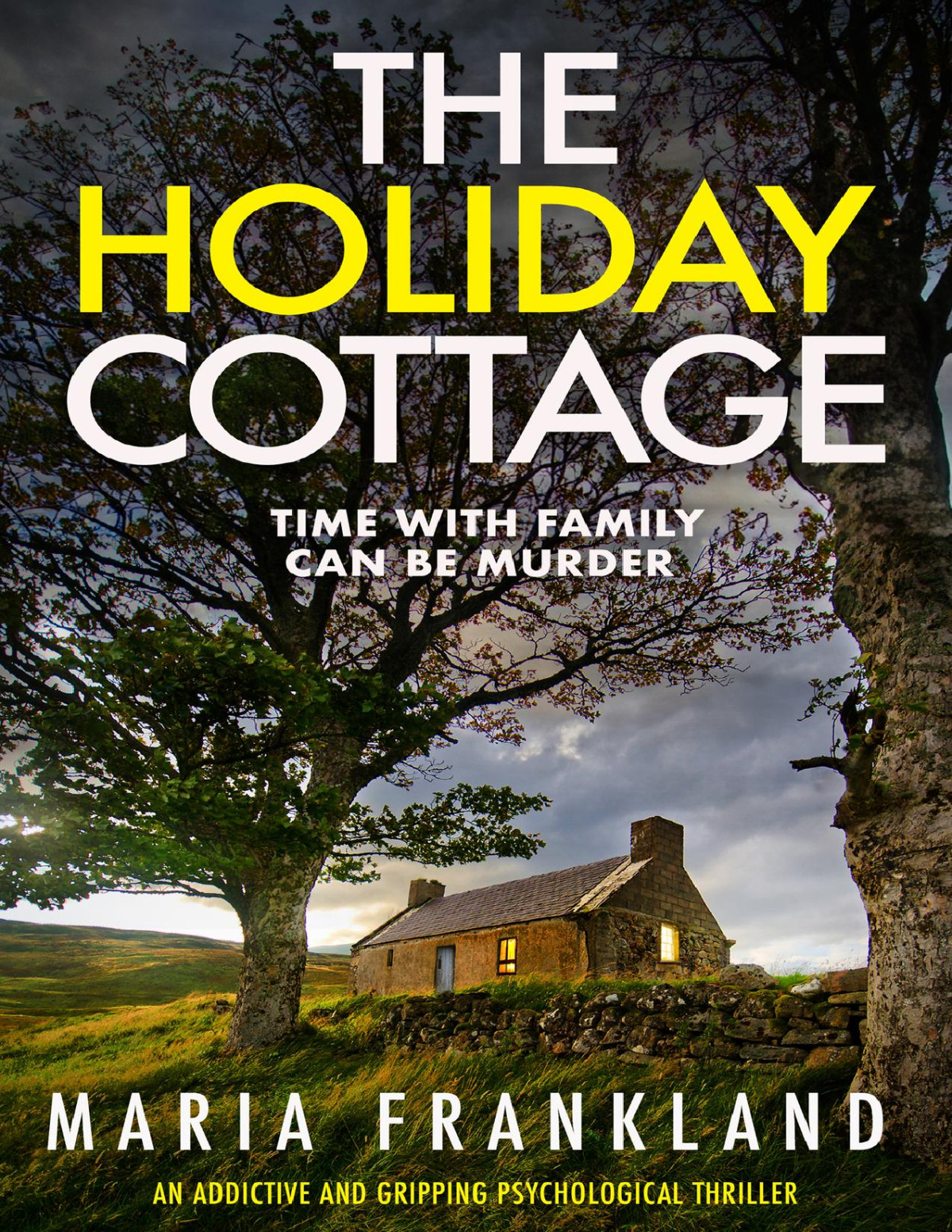 The Holiday Cottage Time With Family Can Be Murder Maria Frankland