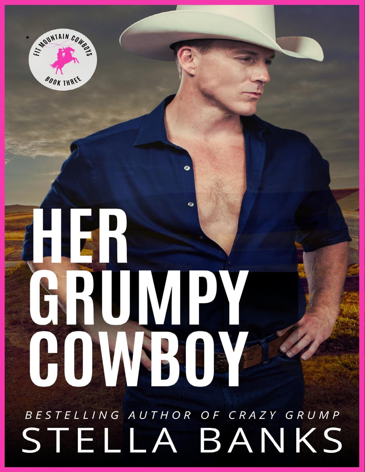 Her Grumpy Cowboy A Hot Single Dad Instalove Stella Banks