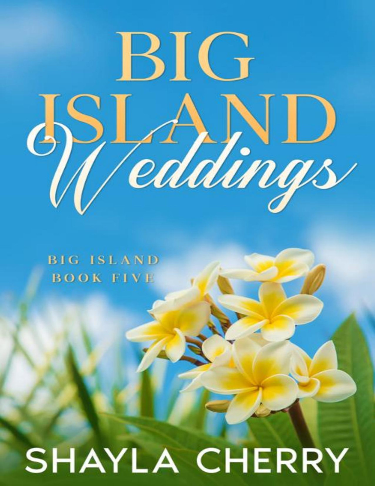 Big Island Weddings Shayla Cherry
