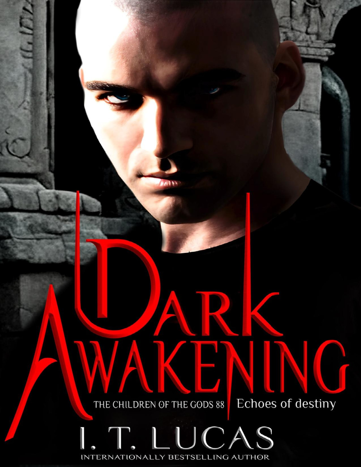 Dark Awakening Echoes Of Destiny I T Lucas