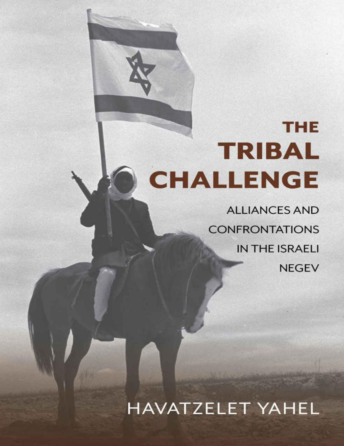 The Tribal Challenge Perspectives On Israel Studies Havatzelet Yahel