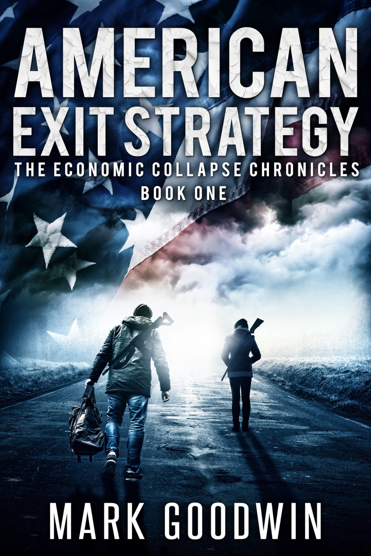 American Exit Strategy A Postapocalyptic Tale Of Americas Coming Financial Downfall The Economic Collapse Chronicles Book 1 Goodwin