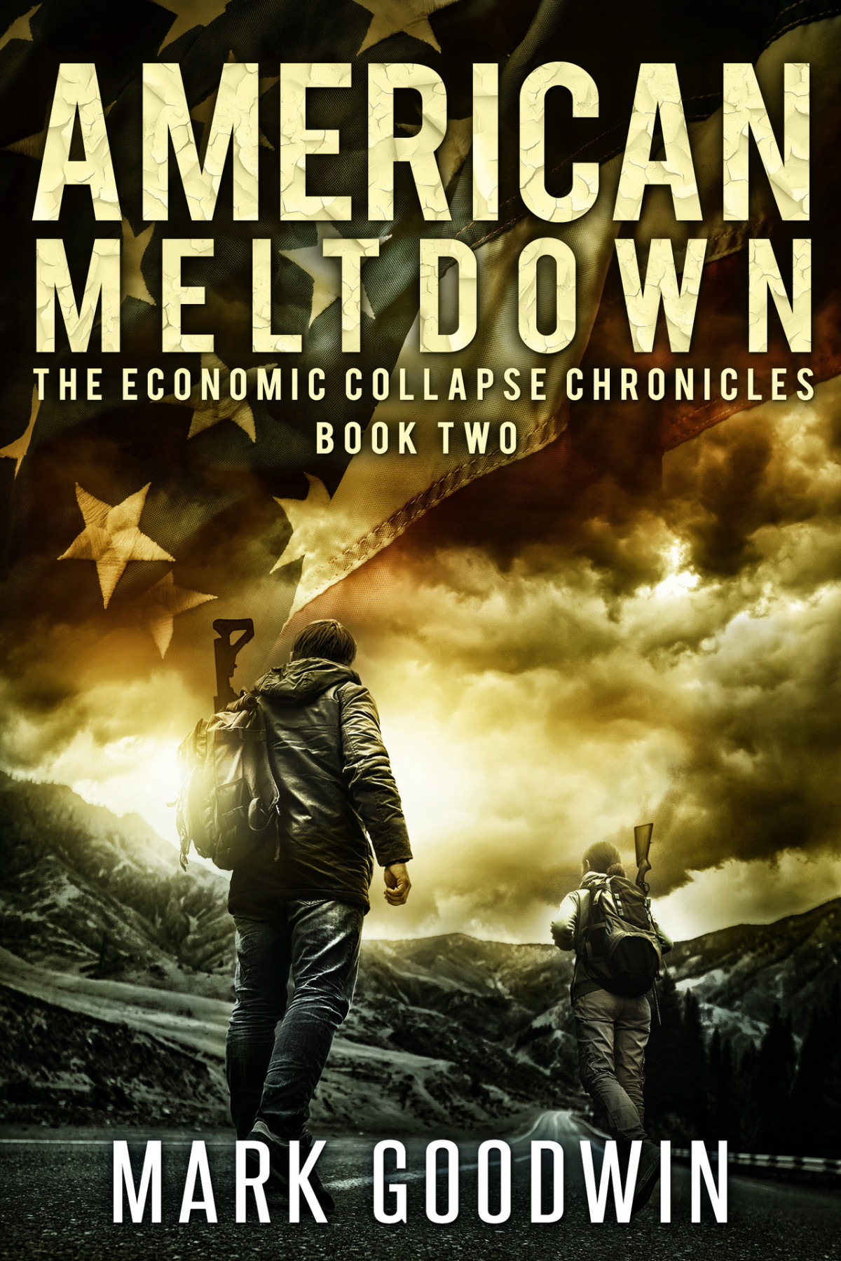 American Meltdown A Postapocalyptic Tale Of Americas Coming Financial Downfall The Economic Collapse Chronicles Book 2 Goodwin