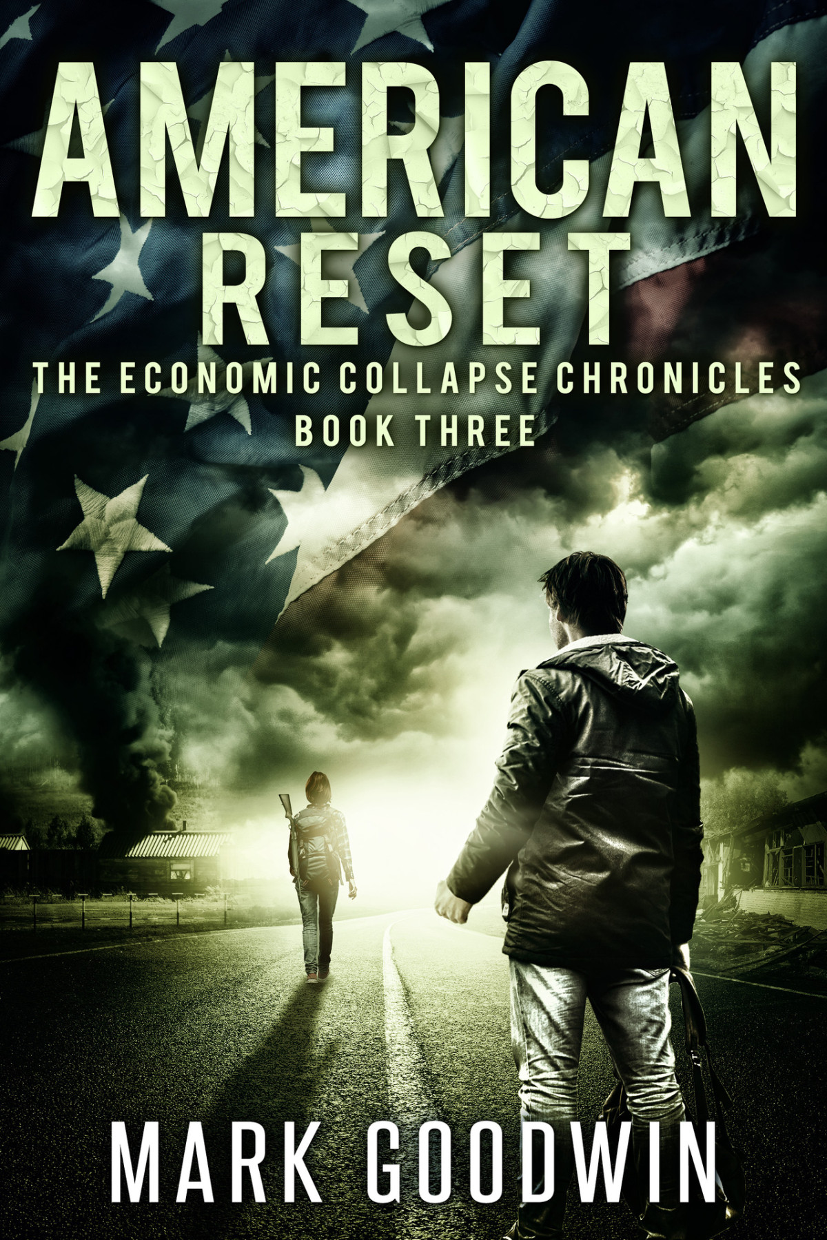 American Reset A Postapocalyptic Tale Of Americas Coming Financial Downfall The Economic Collapse Chronicles Book 3 Mark Goodwin