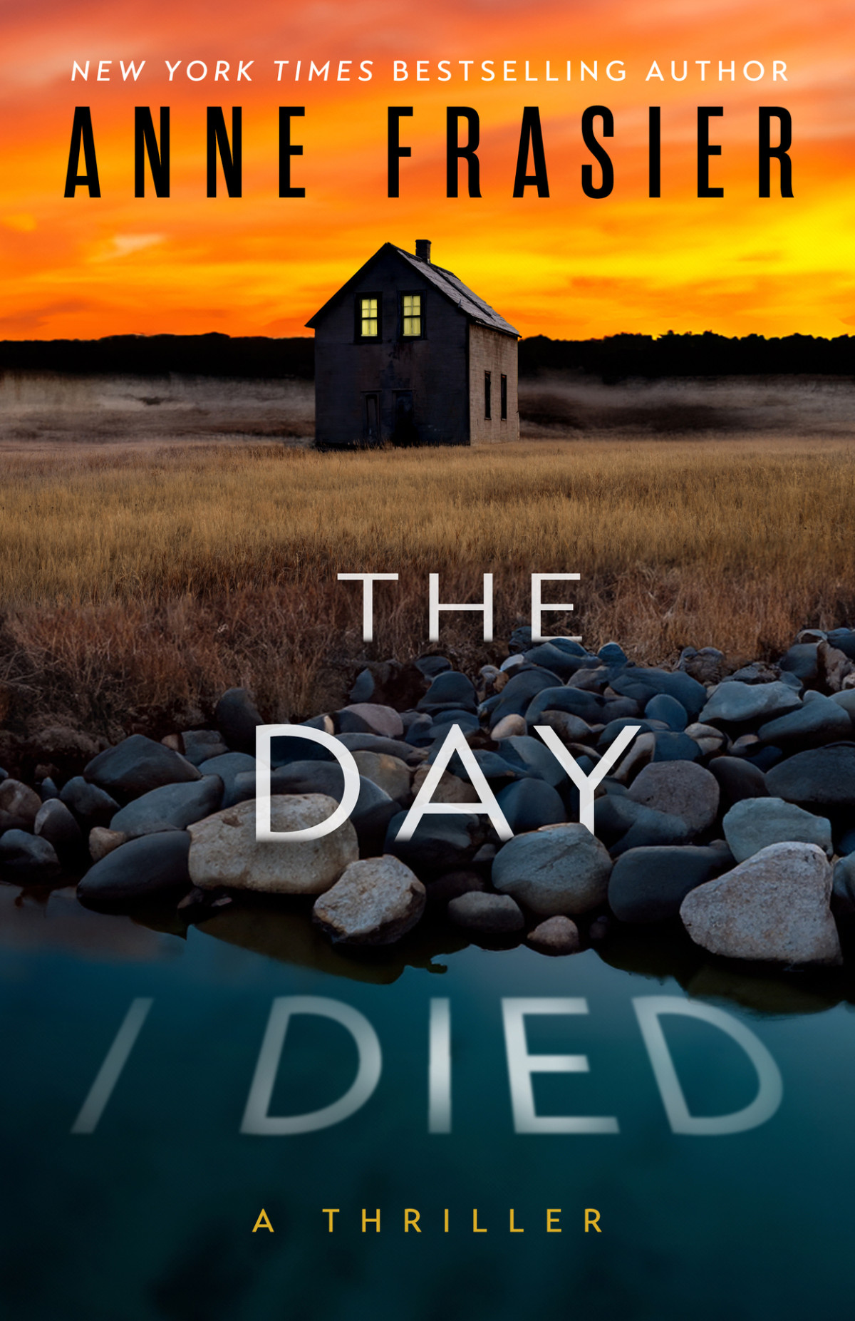 The Day I Died Detective Olivia Welles Book 2 Anne Frasier