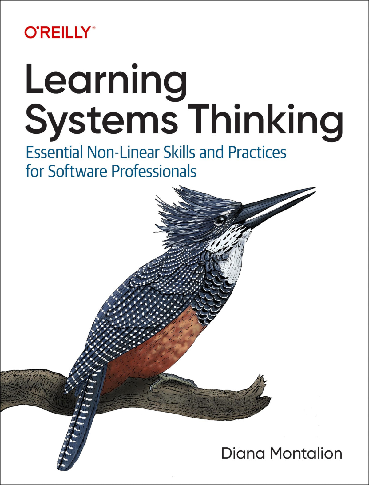 Learning Systems Thinking Essential Nonlinear Skills And Practices For Software Professionals 1st Edition Diana Montalion