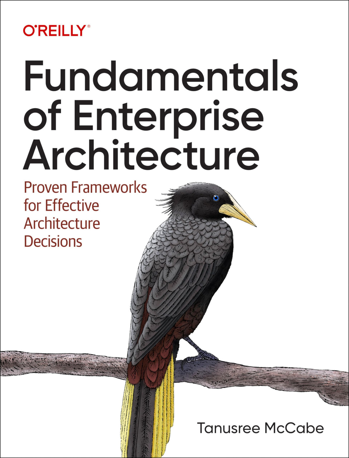 Fundamentals Of Enterprise Architecture Proven Frameworks For Effective Architecture Decisions 1st Edition Tanu Mccabe