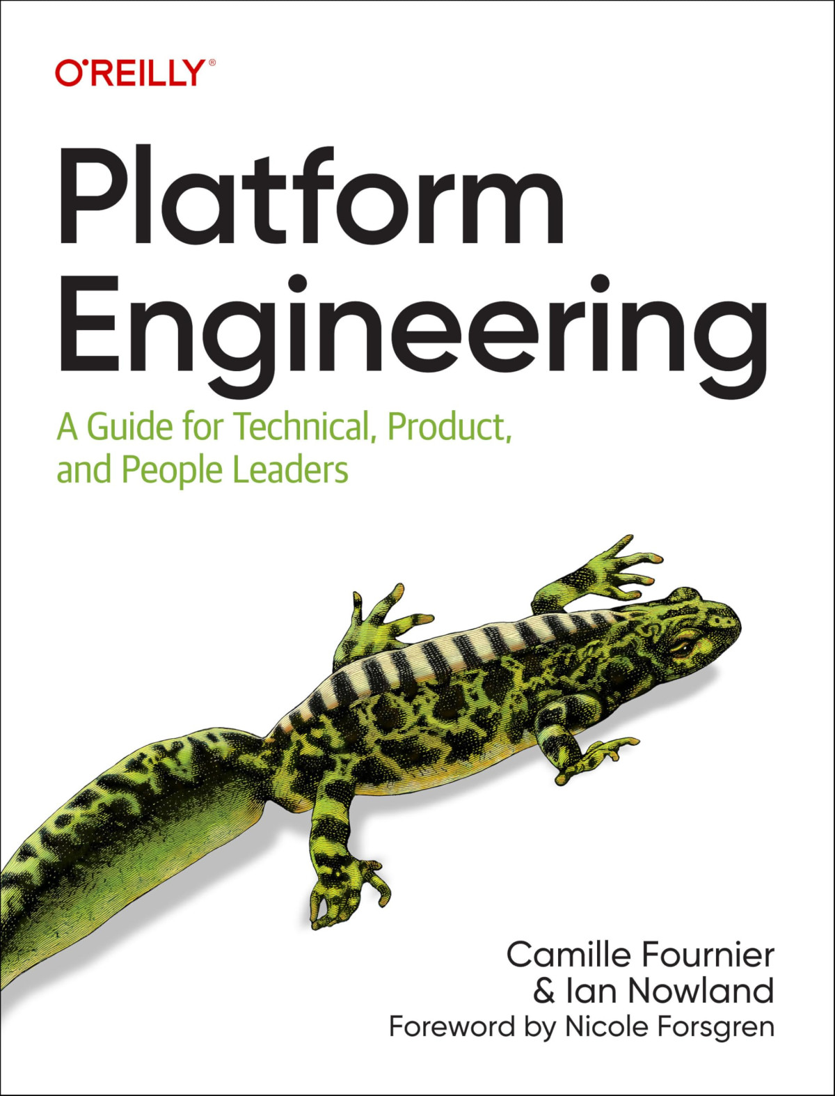 Platform Engineering A Guide For Technical Product And People Leaders 1st Edition Camille Fournier
