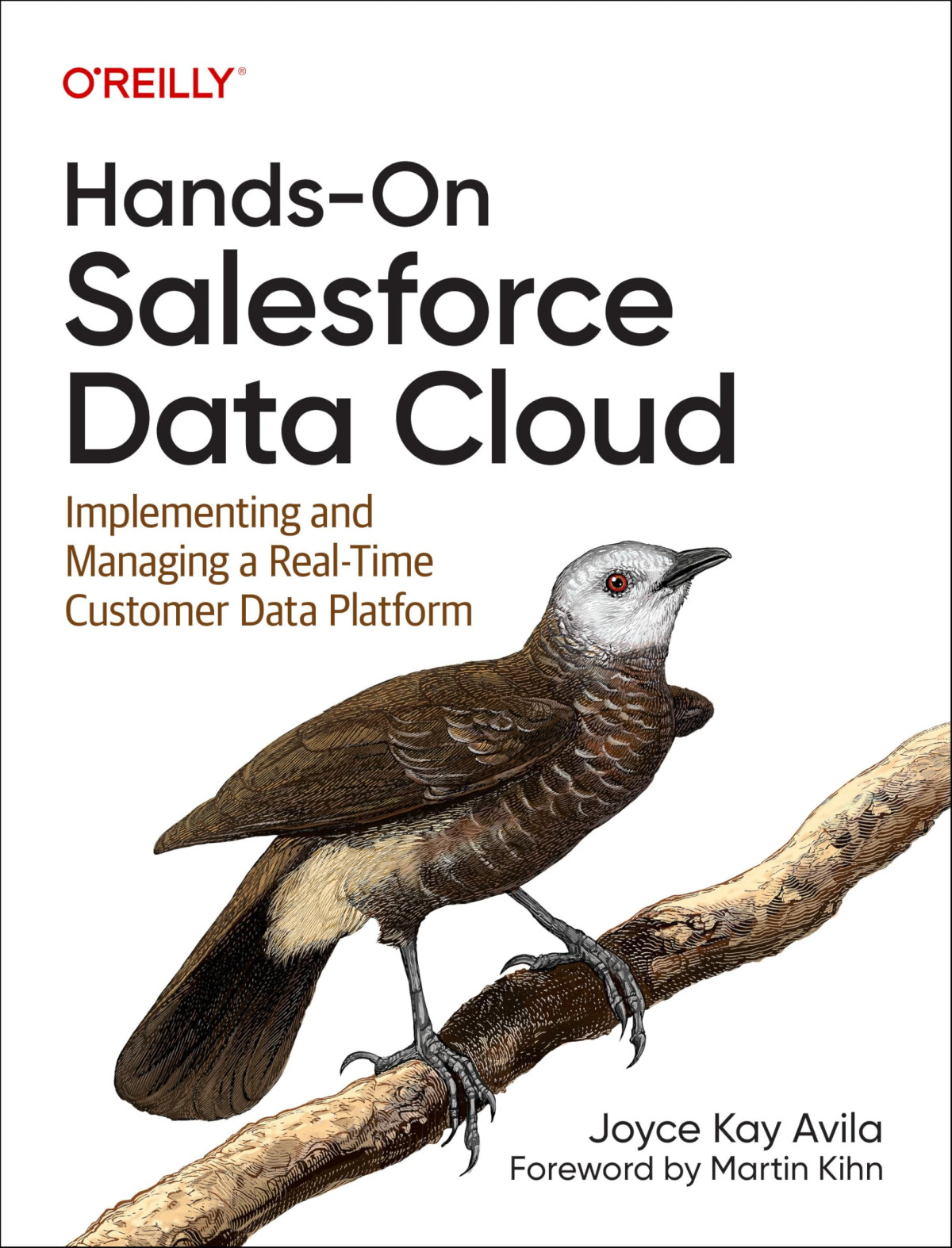 Handson Salesforce Data Cloud Implementing And Managing A Realtime Customer Data Platform 1st Edition Joyce Kay Avila