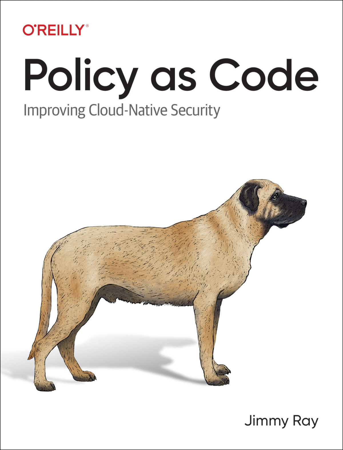 Policy As Code Improving Cloud Native Security 1st Edition Jimmy Ray