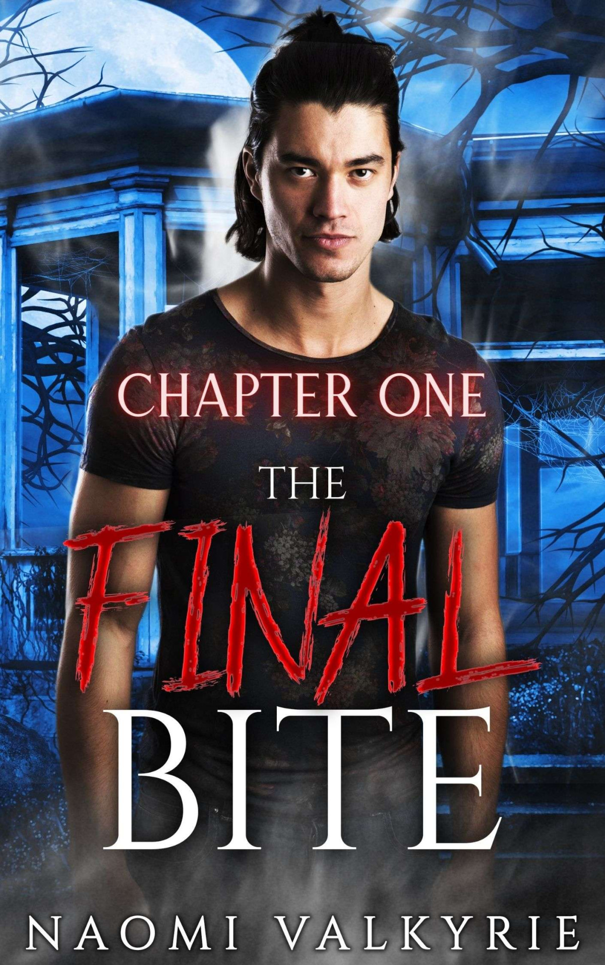 The Final Bite Chapter One Naomi Valkyrie