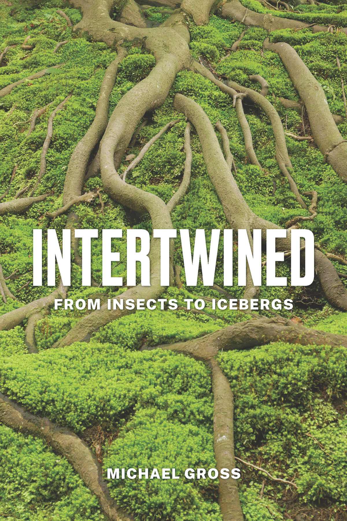 Intertwined From Insects To Icebergs Michael Gross