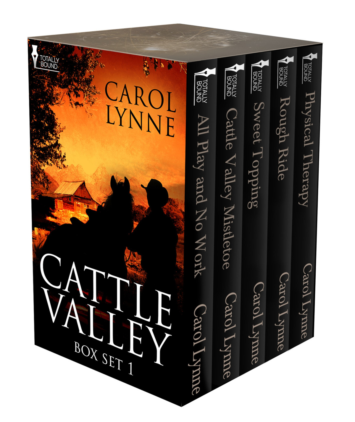 Cattle Valley Box Set 1 Carol Lynne