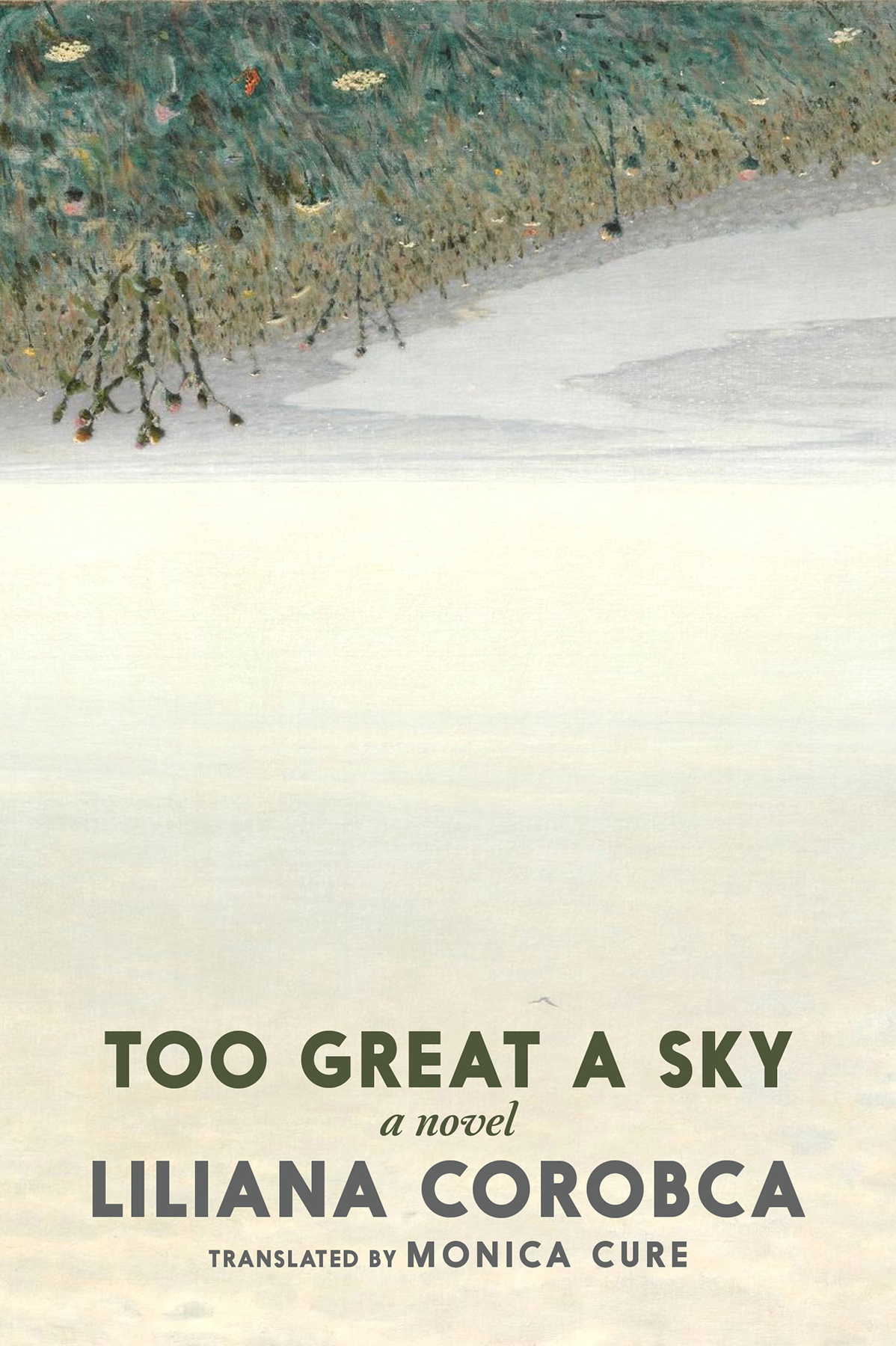 Too Great A Sky Liliana Corobca