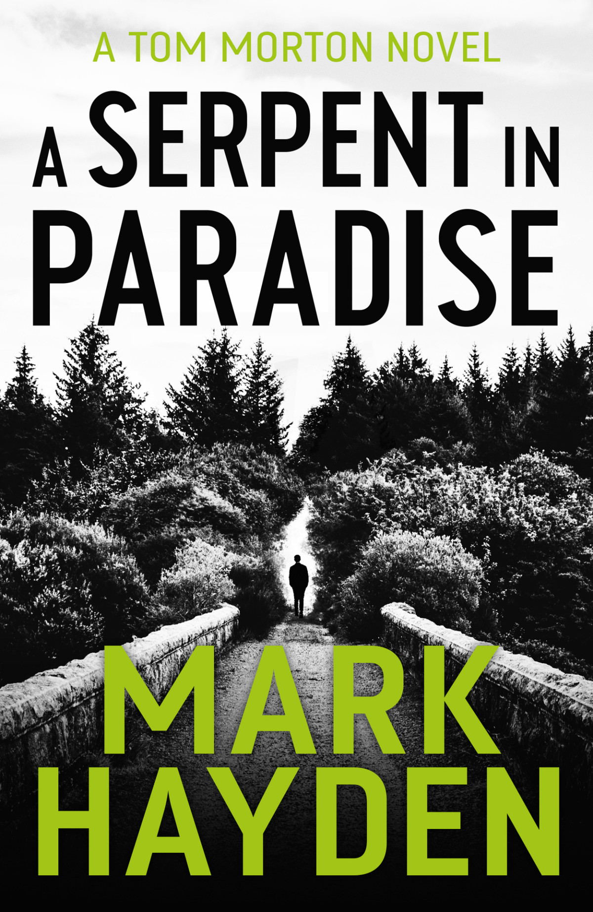 A Serpent In Paradise Tom Morton Book 1 Hayden Mark