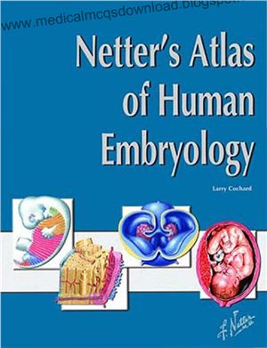 Netters Atlas Of Human Embryology Netter Fh Cochard Lr