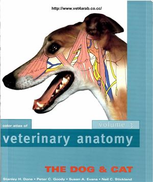 Color Atlas Of Veterinary Anatomy Volum 3 The Dog And Cat 7th Edition Done Sh