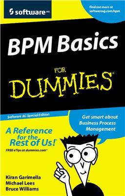 Bpm Basics For Dummies Kiran Garimella Michael Lees Bruce Williams