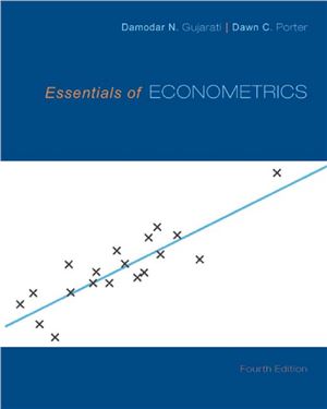 Essentials Of Econometrics Irwin Economics 4th Edition Gujarati