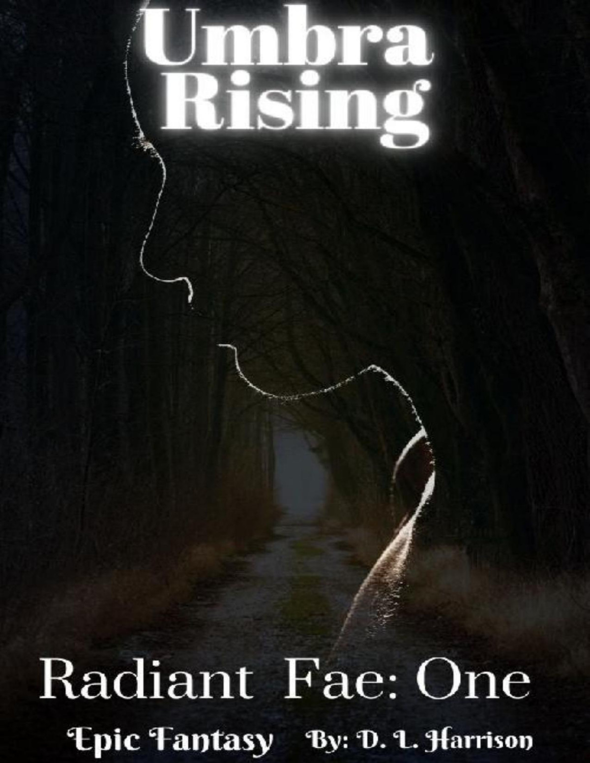 Umbra Rises Radiant Fae Book One D L Harrison