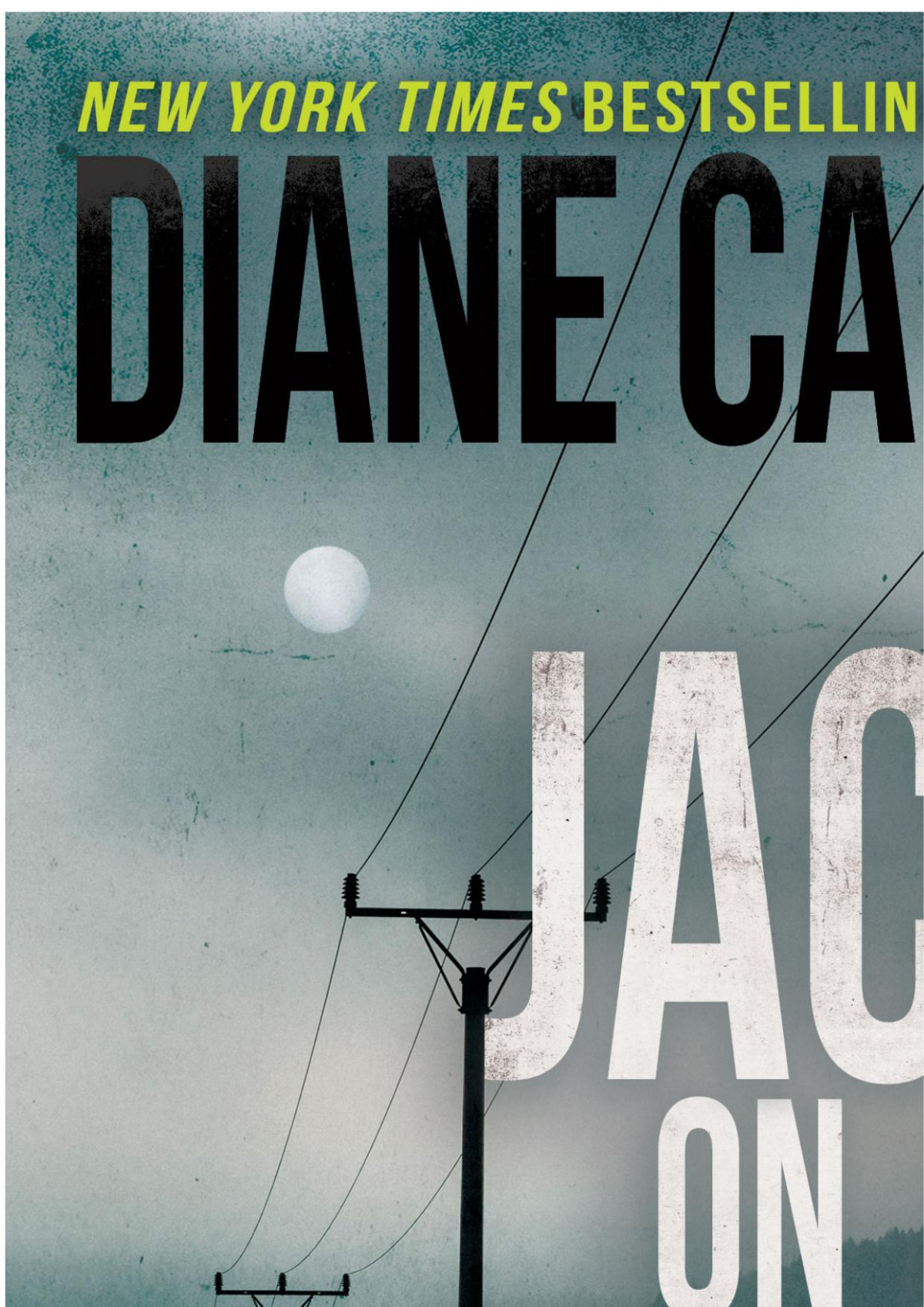 Jack On A Wire 1st Edition Diane Capri