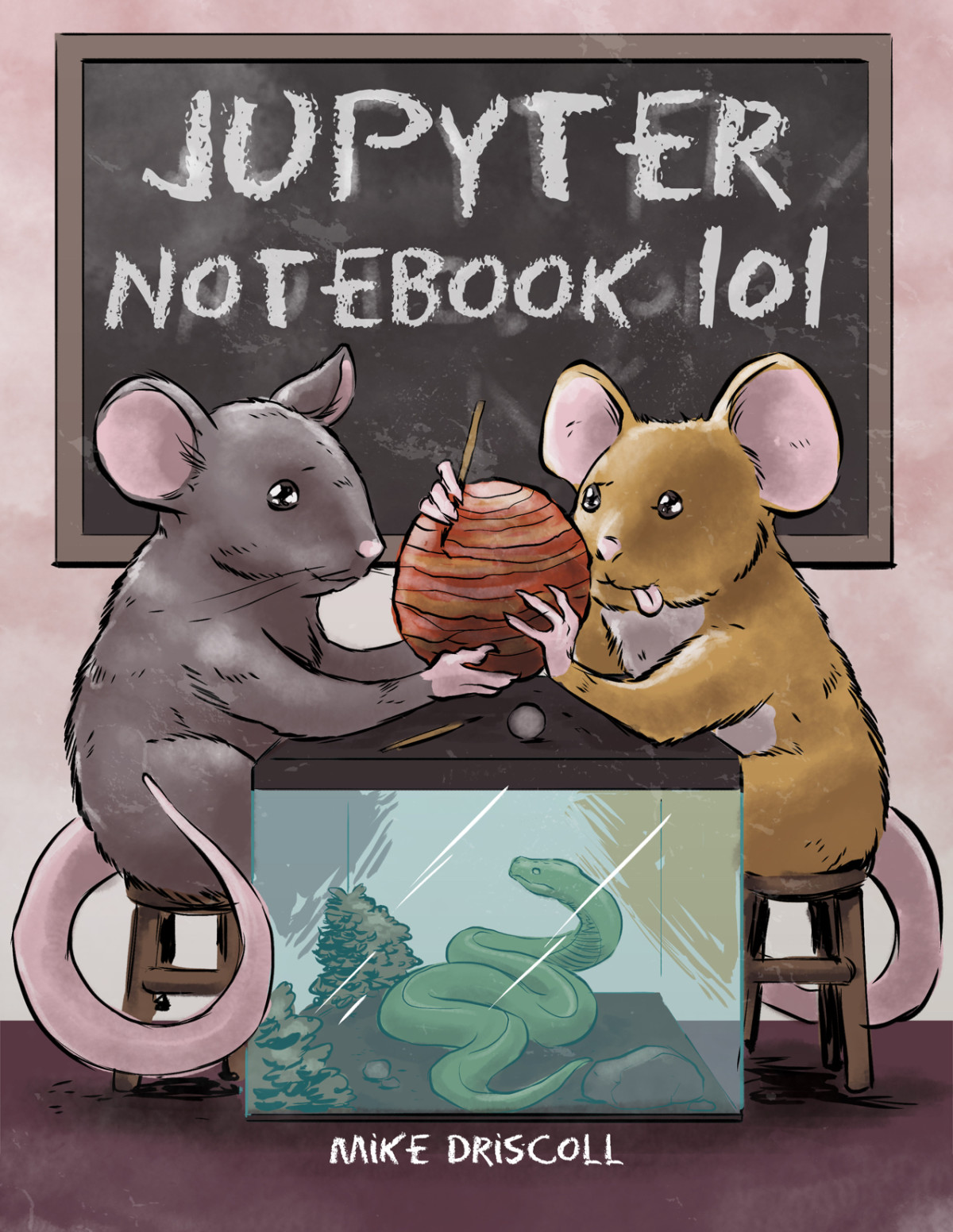 Jupyter Notebook 101 Michael Driscoll