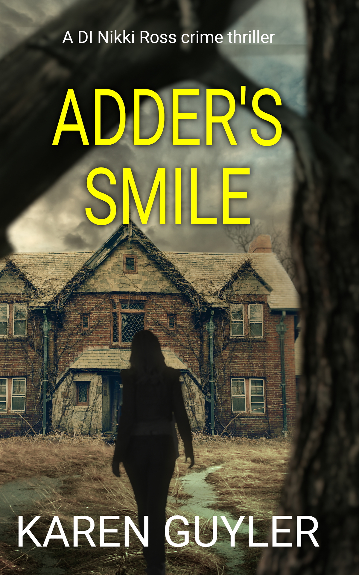 Adders Smile Book 3 Of The Di Nikki Ross Series Karen Guyler