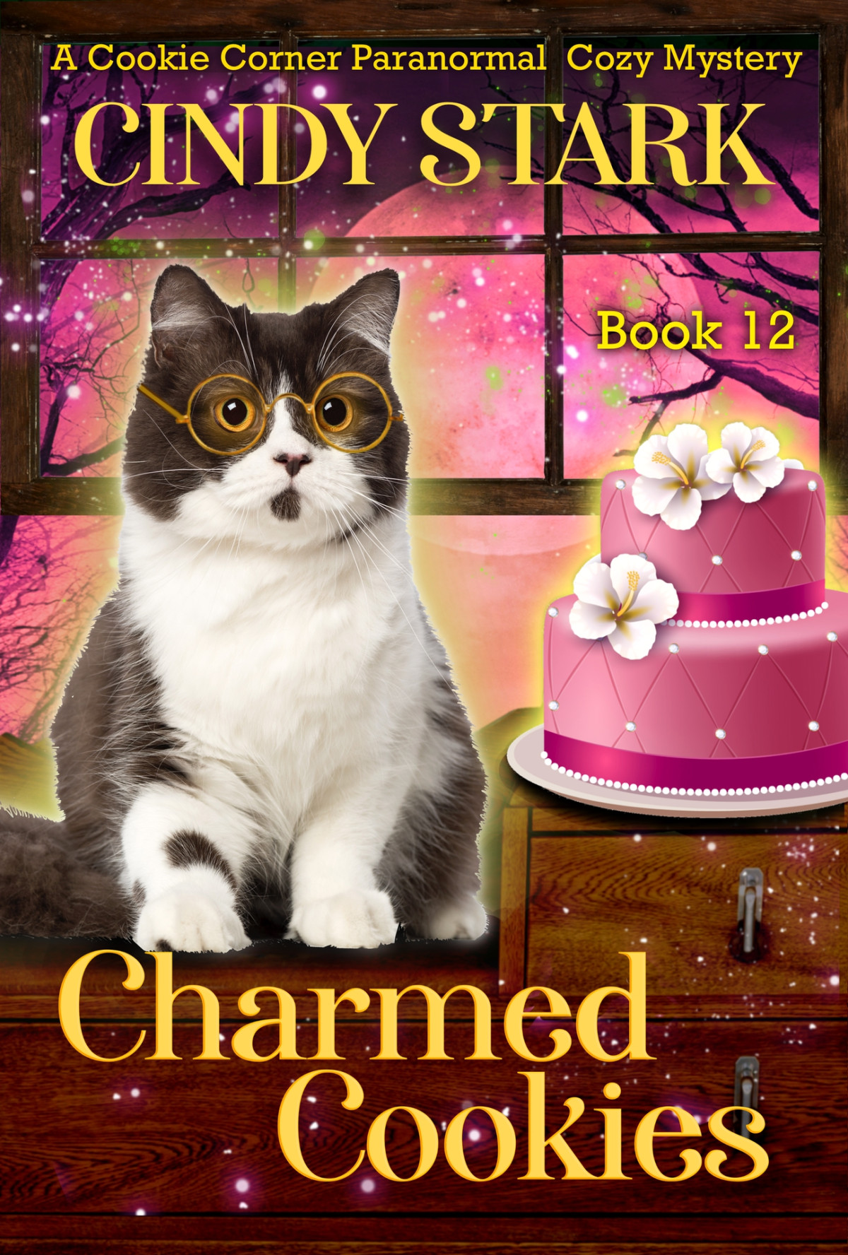 Charmed Cookies A Paranormal Cozy Mystery Cindy Stark