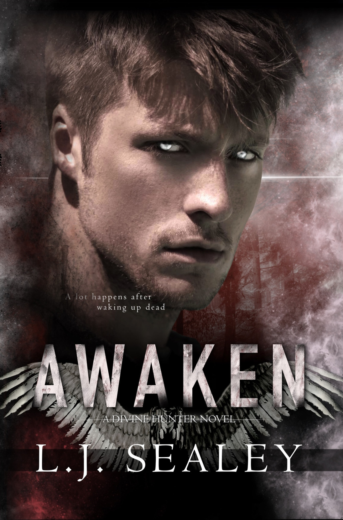 Awaken Divine Hunter Series Book 1 Sealey Lj