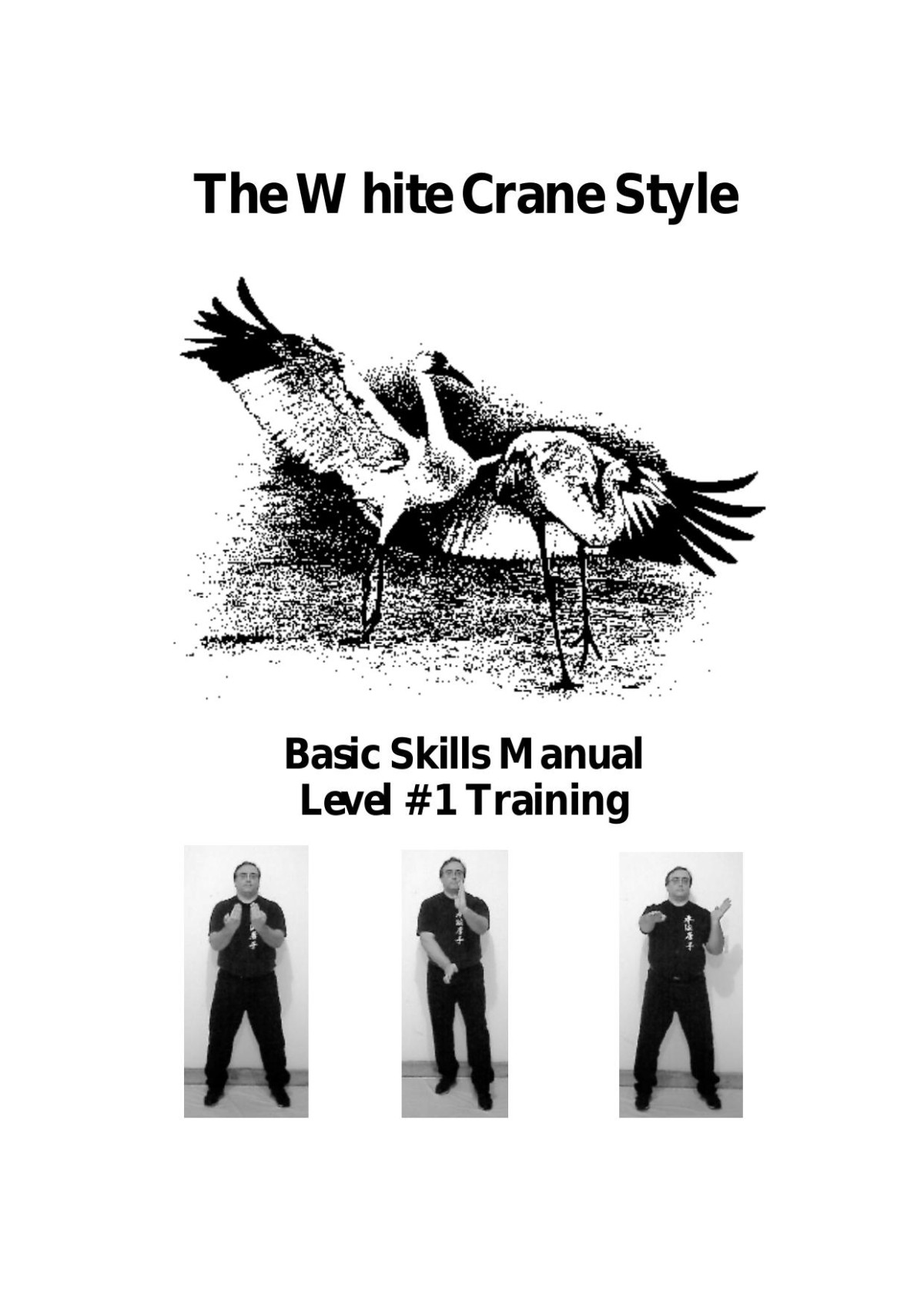 The White Crane Style Basic Skills Manual Level 1 Training Anthony Sandoval