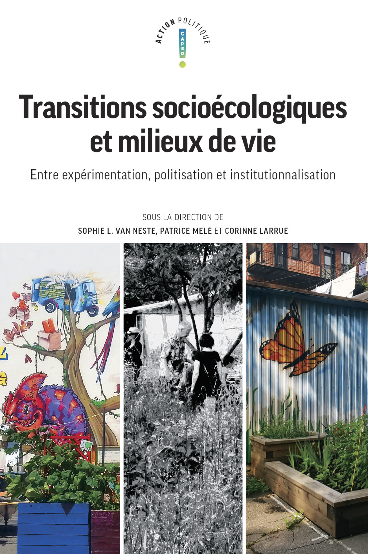 Transitions Socioécologiques Et Milieux De Vie Entre Expérimentation Politisation Et Institutionnalisation Sophie L Van Neste Patrice Melé Corinne Larrue