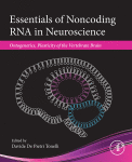 Essentials Of Noncoding Rna In Neuroscience Ontogenetics Plasticity Of The Vertebrate Brain 1st Edition Davide De Pietri Tonelli Eds