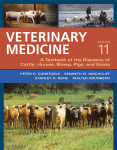 Veterinary Medicine 11th Edition Peter D Constable Kenneth W Hinchcliff