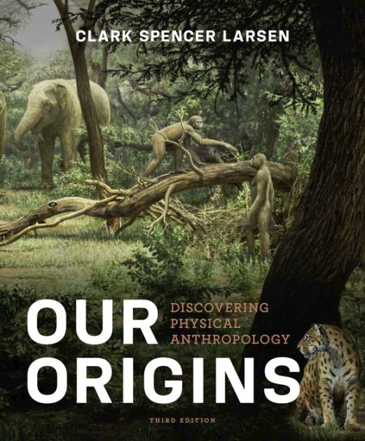 Our Origins Discovering Physical Anthropology 3rd Clark Spencer Larsen