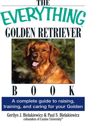 The Everything Golden Retriever Book A Complete Guide To Raising Training And Caring For Your Golden Gerilyn J Bielakiewicz