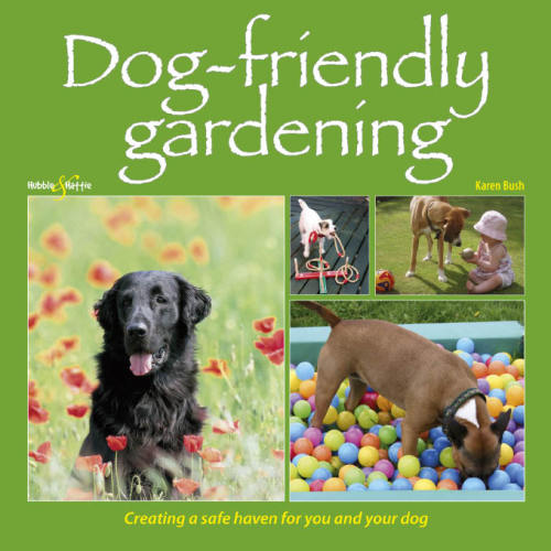 Dogfriendly Gardening Creating A Safe Haven For You And Your Dog Bush
