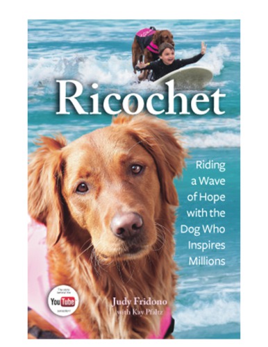 Ricochet Riding A Wave Of Hope With The Dog Who Inspires Millions Fridono