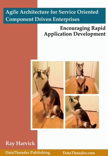 Agile Architecture For Service Oriented Component Driven Enterprises Harvick