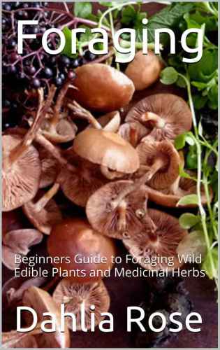 Foraging Beginners Guide To Foraging Wild Edible Plants And Medicinal Herbs Dahlia Rose