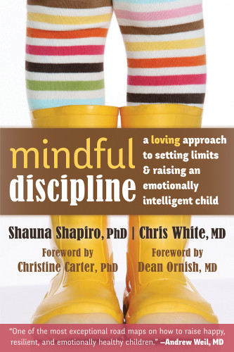 Mindful Discipline A Loving Approach To Setting Limits And Raising An Emotionally Intelligent Child Shauna Shapiro