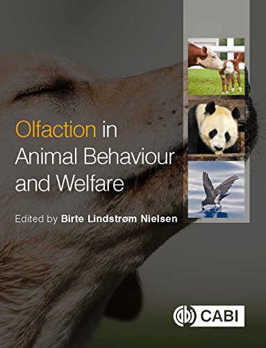 Olfaction In Animal Behaviour And Welfare Birte Lindstrom Nielsen