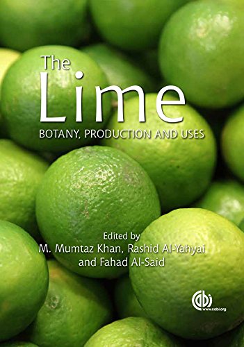 The Lime Botany Production And Uses M Mumtaz Khan Rashid Alyahyai