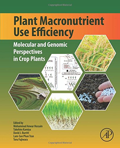 Plant Macronutrient Use Efficiency Molecular And Genomic Perspectives In Crop Plants 1st Edition Mohammad Anwar Hossain