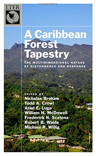 A Caribbean Forest Tapestry The Multidimensional Nature Of Disturbance And Response 1st Edition Nicholas Brokaw