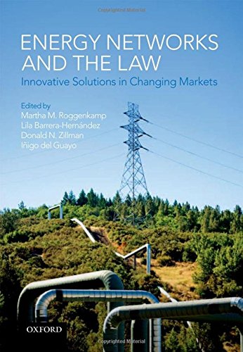 Energy Networks And The Law Innovative Solutions In Changing Markets 1st Edition Martha M Roggenkamp